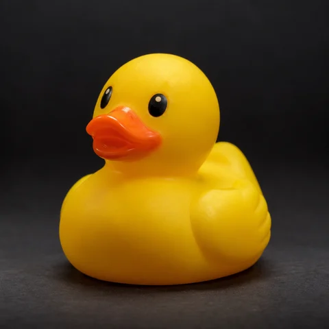 Rubber duck